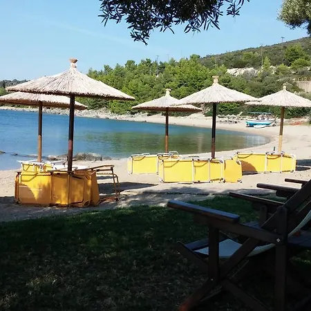Porto Lejlighed *