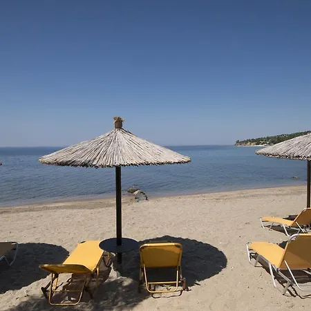 Porto * Псакудия